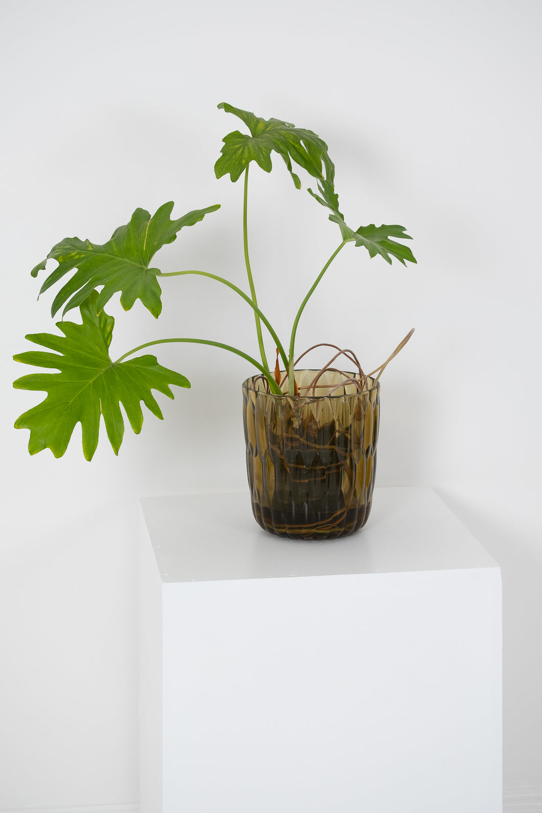 Kartell Jelly Vase (Green)