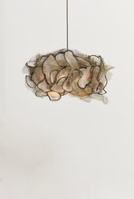 Load image into Gallery viewer, Crystal Birch | Oysters at Fransmanshoek
